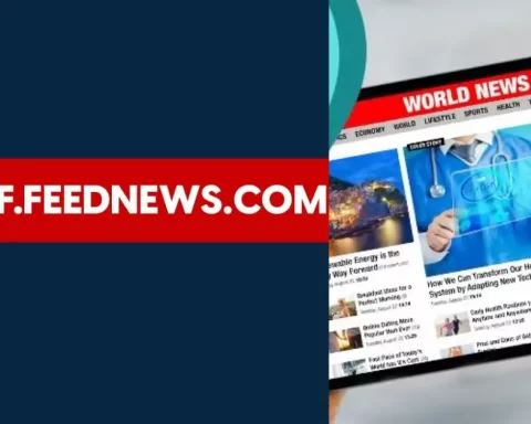CDN-AF.Feednews.com Revolutionizing News Delivery Worldwide