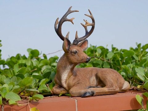 Deer Statues