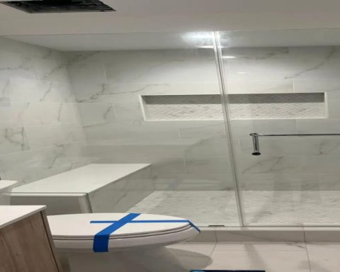 Modern Appeal of Frameless Shower Doors