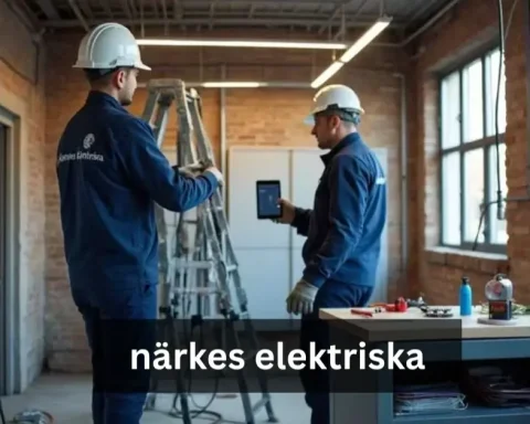 närkes elektriska