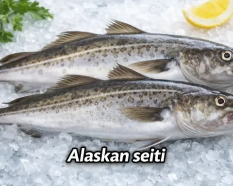 Alaskan Seiti