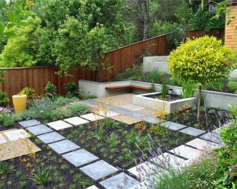 backyard